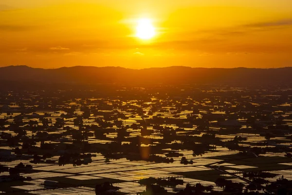 Sonnenuntergang auf überflutetem Reisfeld — Stockfoto