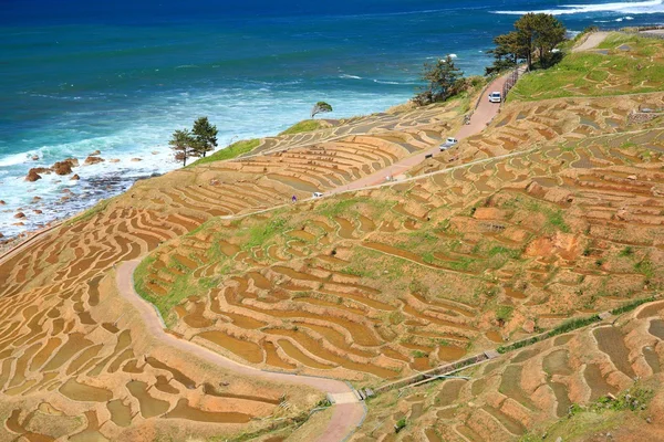 Terrazas de arroz Fotos de stock libres de derechos