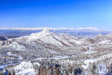 Shiga kogen kışın