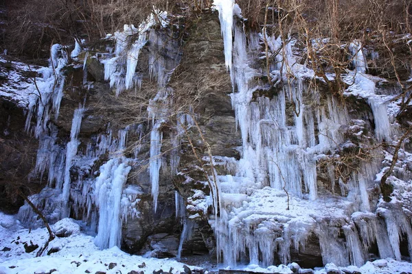 Icicle — Stock fotografie