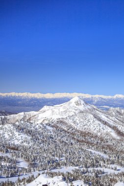 Shiga kogen kışın