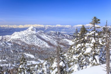 Shiga kogen kışın