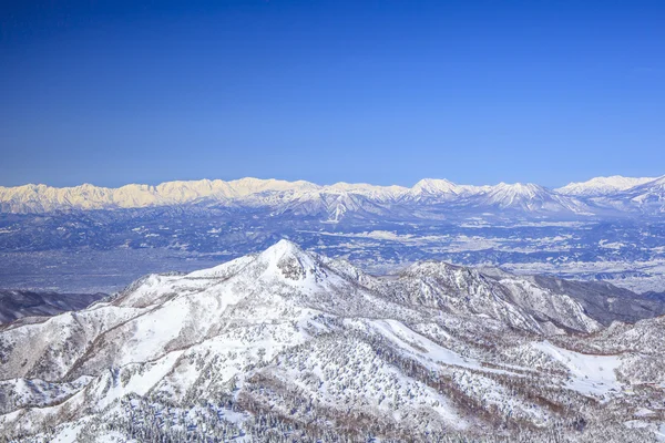 Shiga kogen no inverno — Fotografia de Stock