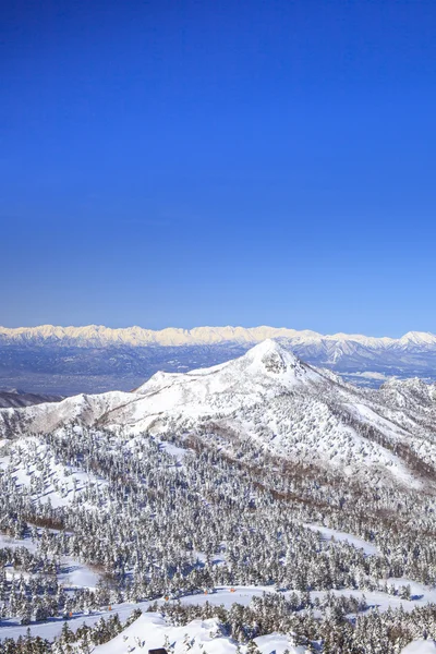 Shiga kogen télen — Stock Fotó