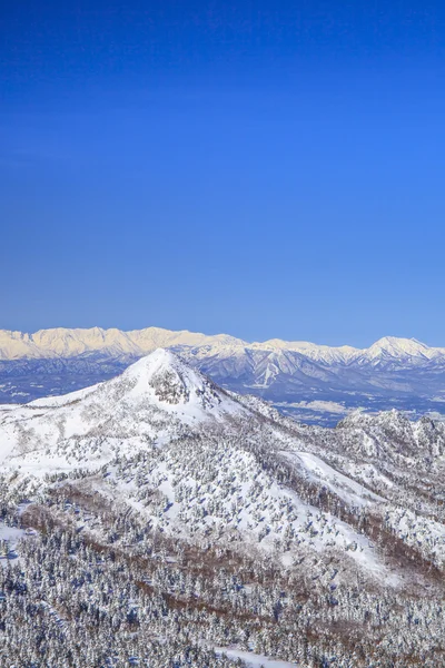 Shiga kogen no inverno — Fotografia de Stock