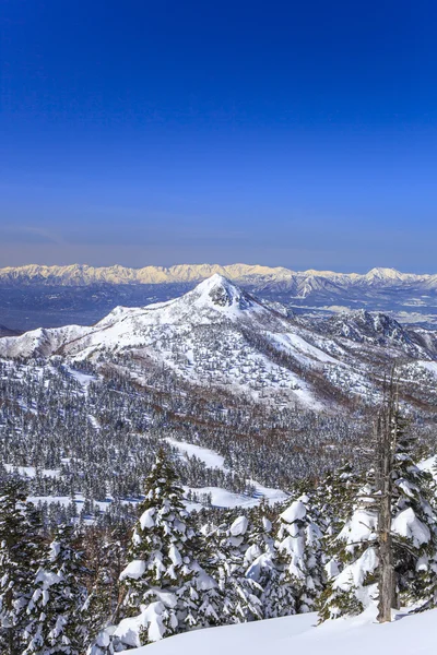 Shiga kogen på vintern — Stockfoto