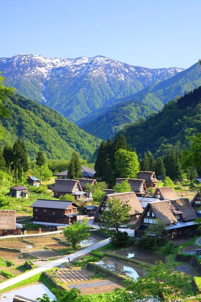 Patrimonio dell'umanità Gokayama — Foto Stock