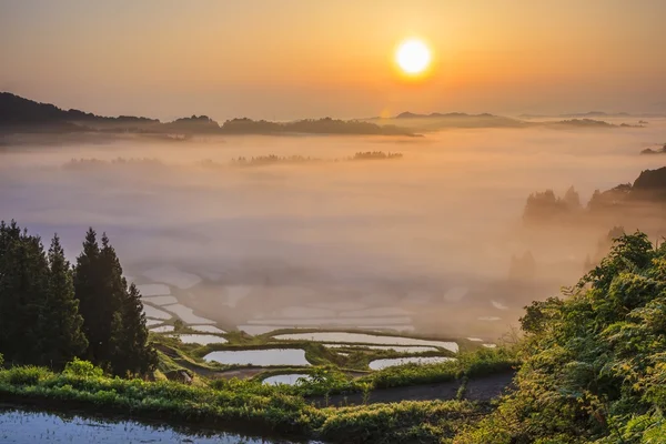 Sunrise from sea of clouds — Stock Photo, Image