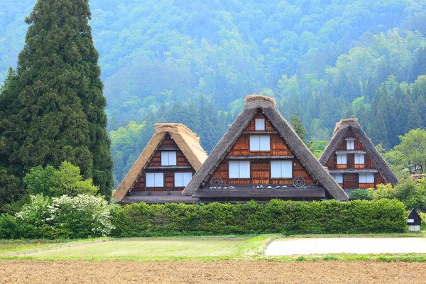 Patrimoine mondial de l'humanité Shirakawago — Photo