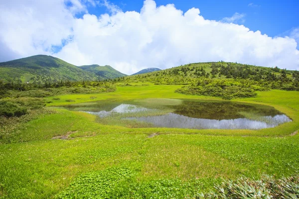 Sumpf von mt. hakkodasan — Stockfoto