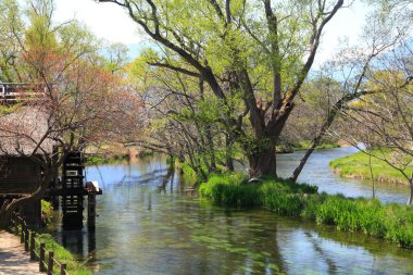 Su değirmeni ve nehir
