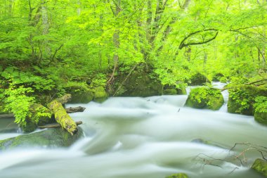 Yaz Oirase Stream