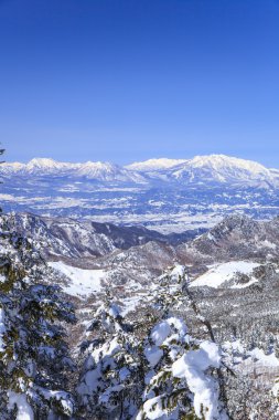 Shiga kogen kışın