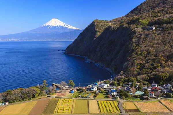 mt. fuji ve Suruga Körfezi