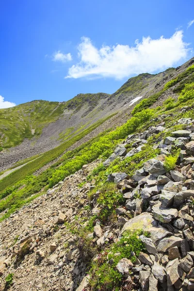 Été montagne japonaise — Photo