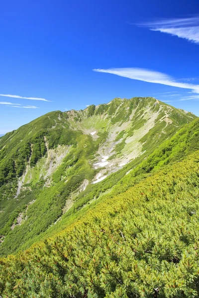 Summer Japanese Mountain — Stock Photo, Image