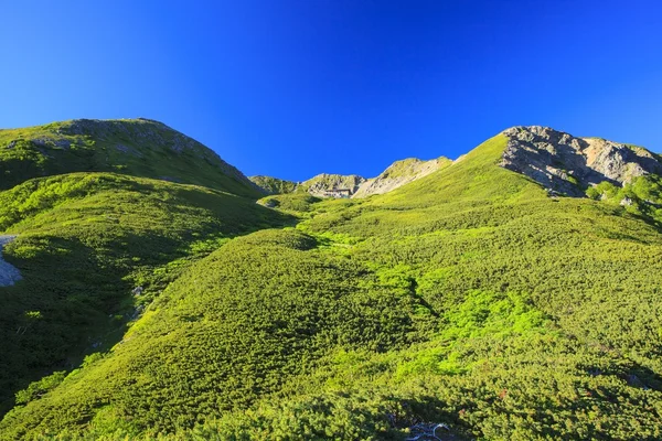 Summer Japanese Mountain — Stock Photo, Image