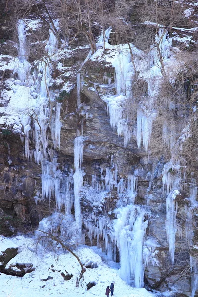 Sok lodowy — Zdjęcie stockowe