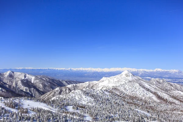 Shiga kogen im Winter — Stockfoto