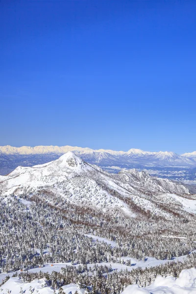 Shiga kogen på vintern — Stockfoto