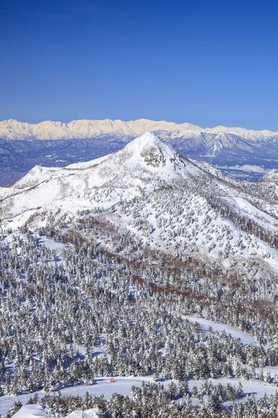 Shiga kogen no inverno — Fotografia de Stock