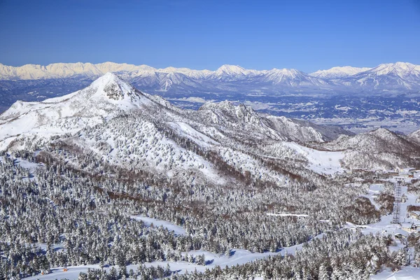 Shiga kogen v zimě — Stock fotografie