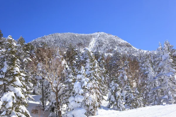 Shiga kogen ski resort — Stock Fotó