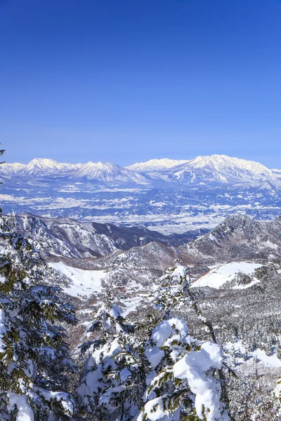 Shiga kogen v zimě — Stock fotografie