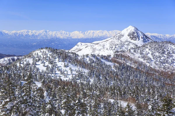 Shiga kogen zimą — Zdjęcie stockowe