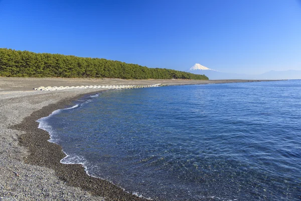 Mt. fuji вид з mihonomatsubara Ліцензійні Стокові Зображення