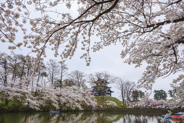 Castillo de Takada y flores de cerezo — Foto de Stock