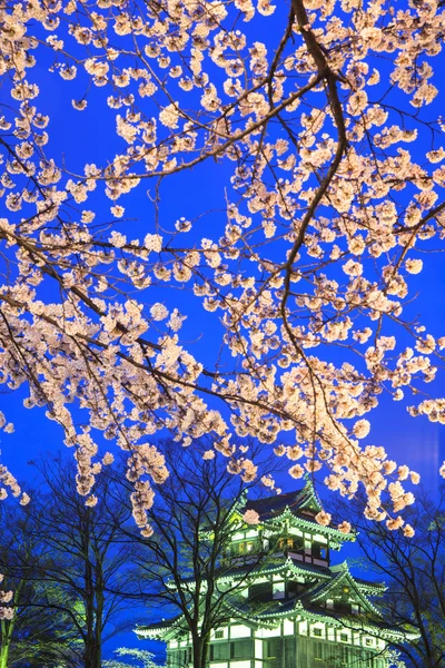 Освещение замка Такада и цветение вишни — стоковое фото