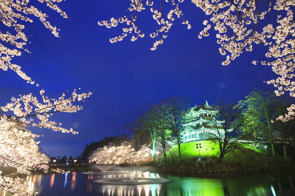 Licht von Takada-Burg und Kirschblüten — Stockfoto