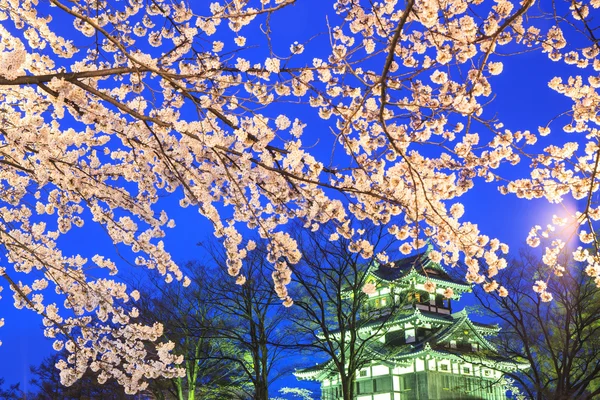 Licht von Takada-Burg und Kirschblüten — Stockfoto