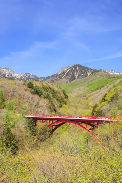 Dağ ve kırmızı köprü — Stok fotoğraf