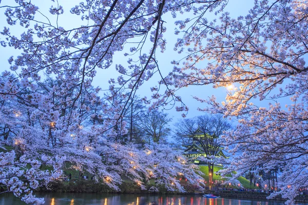 Lysa upp av Takada slott och Cherry blossoms Royaltyfria Stockbilder