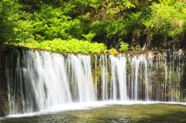 Shiraito Waterfall clipart