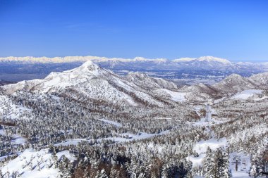 Shiga kogen kışın