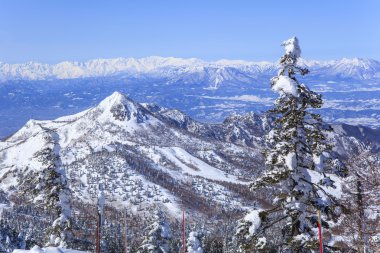 Shiga kogen kışın