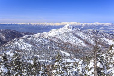 Shiga kogen kışın