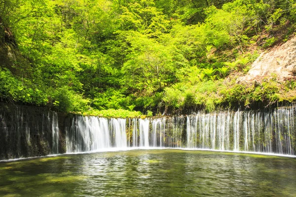 Shiraito Waterfall — Stock Photo, Image