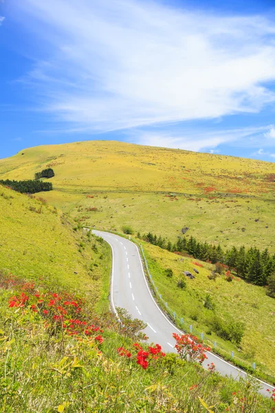Azálea florescendo estrada de montanha — Fotografia de Stock
