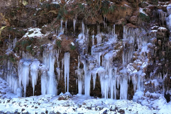 Icicle — Stock fotografie