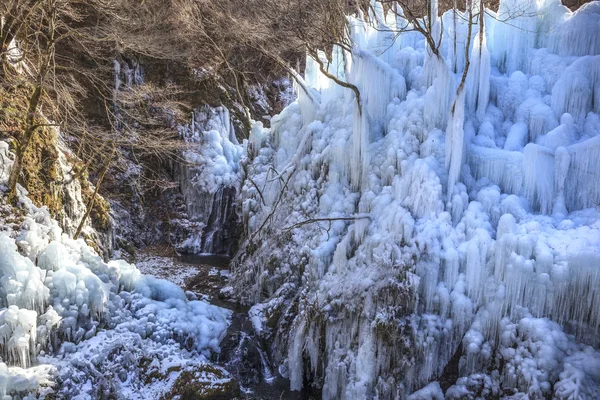 Icicle — Stock fotografie