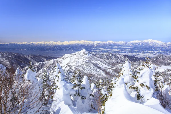 Shiga kogen zimą — Zdjęcie stockowe