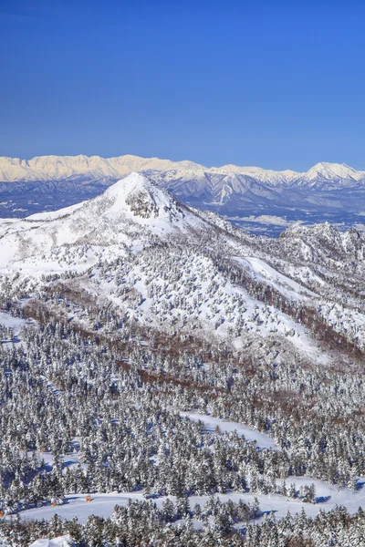 Shiga kogen no inverno — Fotografia de Stock