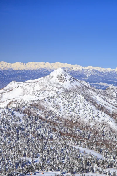 冬の志賀高原 — ストック写真