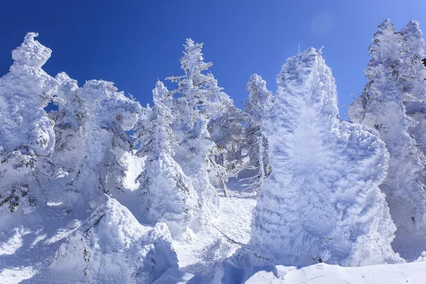 Suave rime — Fotografia de Stock