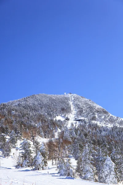 Shiga kogen lyžařské středisko — Stock fotografie