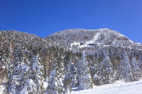 Shiga kogen Ski resort — Stock Photo, Image